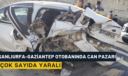 Şanlıurfa-Gaziantep Otobanında Can Pazarı!