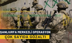 Şanlıurfa Merkezli Operasyon: Çok Sayıda Gözaltı