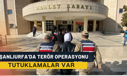 Şanlıurfa'da Merkezli 2 İlde Eş Zamanlı Terör Operasyonu: Tutuklamalar Var