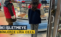 Şanlıurfa Haliliye’de İki İşletmeye Binlerce Lira Ceza