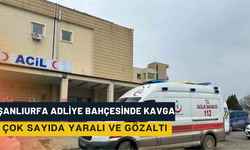 Şanlıurfa Adliye Bahçesinde Kavga: Çok Sayıda Yaralı ve Gözaltı