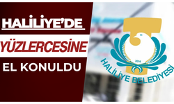 Haliliye Zabıtası’ndan Halk Sağlığını Koruma Denetimleri: 587 Ürüne El Konuldu