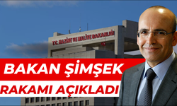 Bakan Mehmet Şimşek Açıkladı Vergi Denetimlerinde Rekor Sonuç