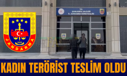 Şanlıurfa'da Kadın Terörist Teslim Oldu