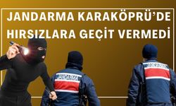 Jandarma Karaköprü’de Hırsızlık Çetesini Çökertti