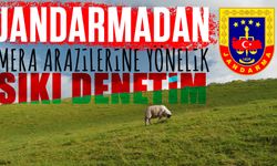 Jandarmadan Mera Arazilerine Yönelik Sıkı Denetim