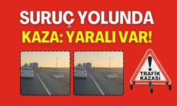 Şanlıurfa’da Otomobil Şarampole Uçtu, Sürücü Kurtarıldı