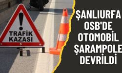 Şanlıurfa OSB'de Otomobil Şarampole Devrildi: 2 Yaralı