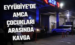 Şanlıurfa Eyyübiye'de Amca Çocukları Arasında Kavga: 2 Yaralı, 1 Gözaltı