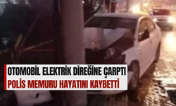 Otomobil Elektrik Direğine Çarptı: Polis Memuru Hayatını Kaybetti