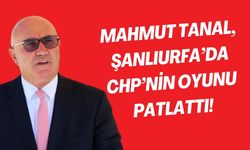 Mahmut Tanal’ın Başarısıyla CHP, Şanlıurfa’da Yükselişe Geçti!