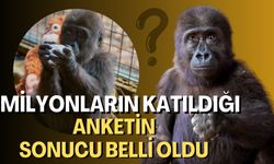 Milyonların Katıldığı Anketin Sonucu Belli Oldu