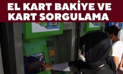 El Kart Bakiye Ve Kart Sorgulama