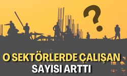 O Sektörlerde Çalışan Sayısı Arttı