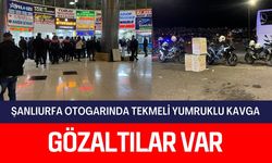 Şanlıurfa Otogarında Tekmeli Yumruklu Kavga: 2 Gözaltı