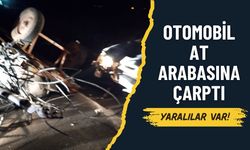 Şanlıurfa Suruç’ta Otomobil At Arabasına Çarptı: 3 Yaralı