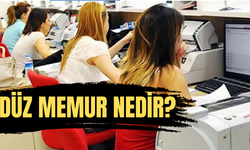 Düz Memur Nedir?