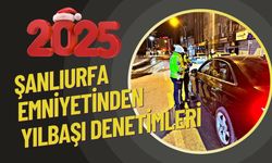 Şanlıurfa'da Yılbaşı Denetimleri: 22 bin 376 Kişi Sorgulandı