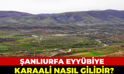 Şanlıurfa Eyyübiye Karaali Nerede, Nasıl Gidilir?