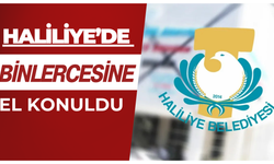 Şanlıurfa Haliliye'de Binlerce Ürüne El Konuldu