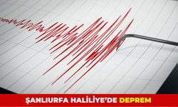 Şanlıurfa Haliliye'de Deprem!