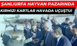 Şanlıurfa Hayvan Pazarında Kırmızı Kartlar Havada Uçuştu!