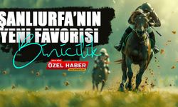 Şanlıurfa’nın Yeni Favorisi: Binicilik