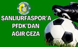 PFDK’dan Şanlıurfaspor’a 234 Bin TL Ceza ve Taraftar Yasağı