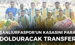 Şanlıurfaspor'un Kasasını Para Dolduracak Transfer