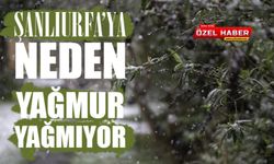 Şanlıurfa’ya Neden Yağmur Yağmıyor?