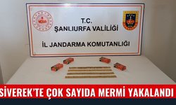 Şanlıurfa Siverek'te Çok Sayıda Mermi Ele Geçirildi