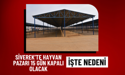 Siverek Hayvan Pazarı 15 Gün Kapalı Olacak! İşte Nedeni