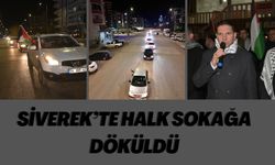 Şanlıurfa Siverek’te Halk Sokağa Döküldü