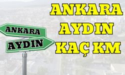 Ankara Aydın Arası Kaç Km