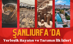 Yerleşik Hayatın ve Tarımın İlk İzleri Şanlıurfa’da Ortaya Çıkıyor