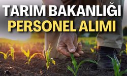 Tarım ve Orman Bakanlığı Personel Alımı/ Tarım Bakanlığı Personel Alımı