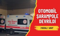 Ceylanpınar’da Şarampole Devrilen Otomobilde 2 Yaralı