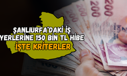 Şanlıurfa’daki İş Yerlerine 150 Bin TL Hibe! İşte Kriterler