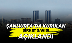 Şanlıurfa’da Kurulan Şirket Sayısı Açıklandı!