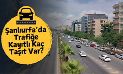 Şanlıurfa’da Trafiğe Kayıtlı Kaç Taşıt Var?