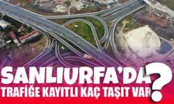 Şanlıurfa’da Trafiğe Kayıtlı Kaç Taşıt Var?