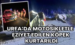 Karaköprü’de Köpeğe Motosikletle İşkence, Jandarma Devreye Girdi!