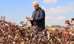 Şanlıurfa'da Yenileyici Tarım Uygulamaları Yaygınlaşıyor