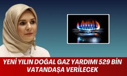 2025 Doğal Gaz Yardımı Başvuruları ve Ödemeleri Başladı