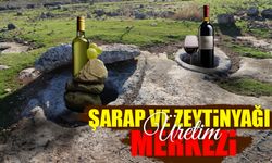 Şanlıurfa’da Şarap ve Zeytinyağı Üretim Merkezi Keşfedildi