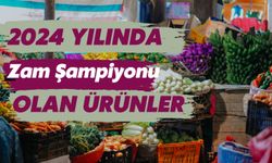 2024 Yılında Zam Şampiyonu Olan Ürünler