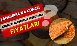 21 Şubat 2025 Şanlıurfa Güncel Kırmızı Kabuklu Mercimek Fiyatları