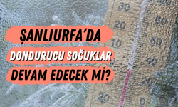 Şanlıurfa’da Dondurucu Soğuklar Devam Edecek Mi?