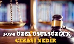 3074 Özel Usulsüzlük Cezası Nedir