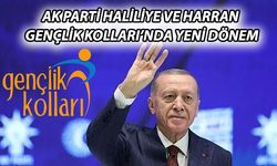 AK Parti Haliliye ve Harran Gençlik Kolları Yeni Yönetimini Açıkladı